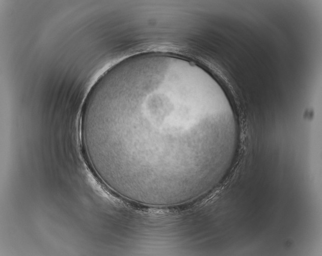 X0000115021032200911091438