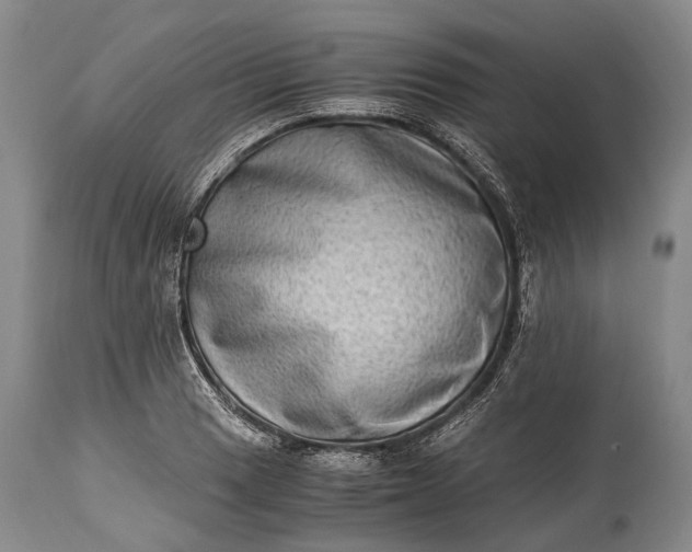 X0000115021033200911091438