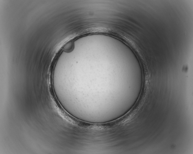 X0000115021034200911091438