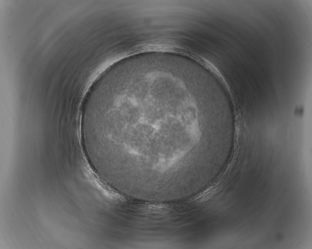 X0000115021035200911091438