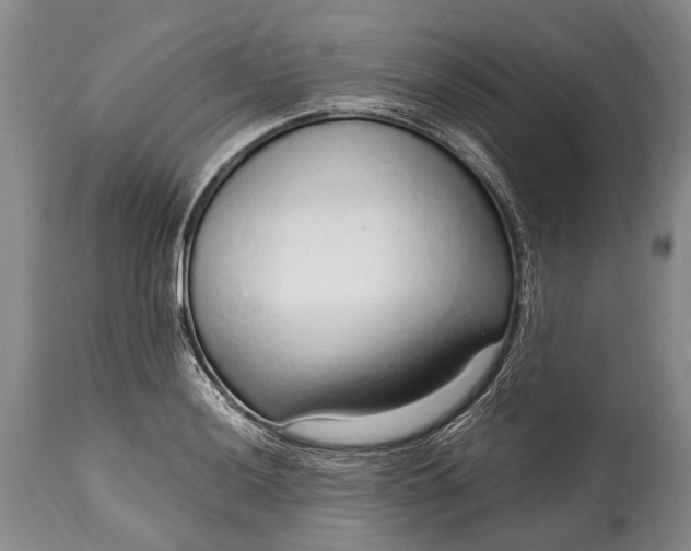 X0000115021036200911091438