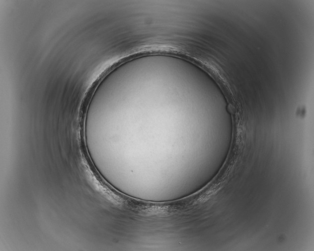 X0000115021038200911091438