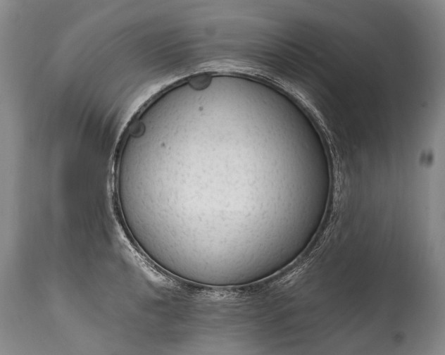 X0000115021040200911091438