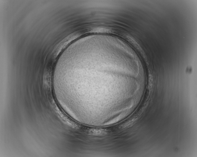 X0000115021041200911091438