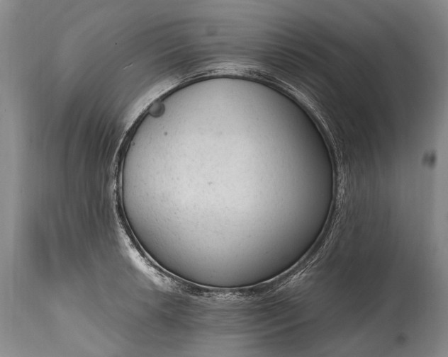 X0000115021042200911091438