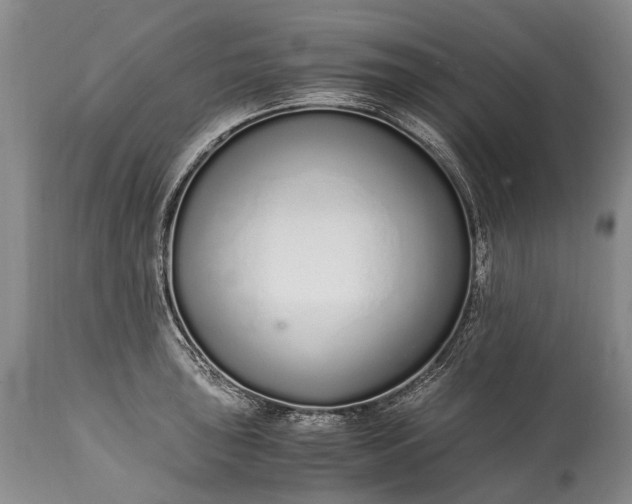 X0000115021043200911091438