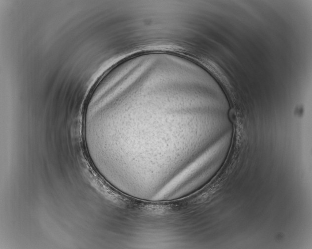 X0000115021044200911091438