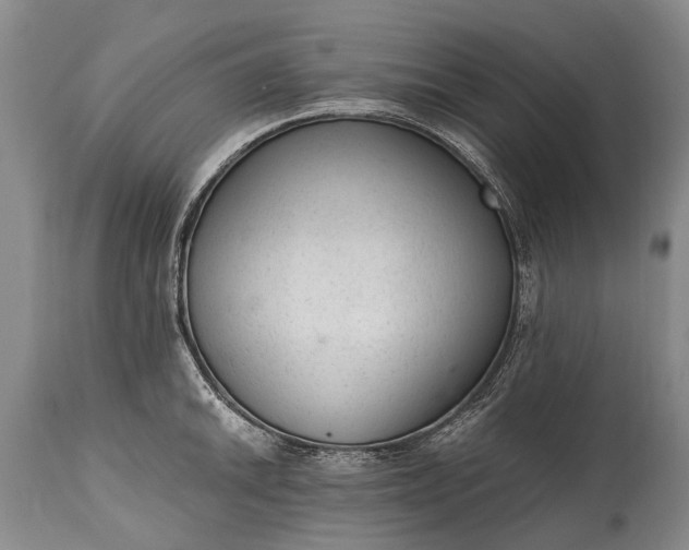 X0000115021046200911091438