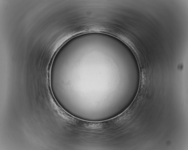 X0000115021047200911091438