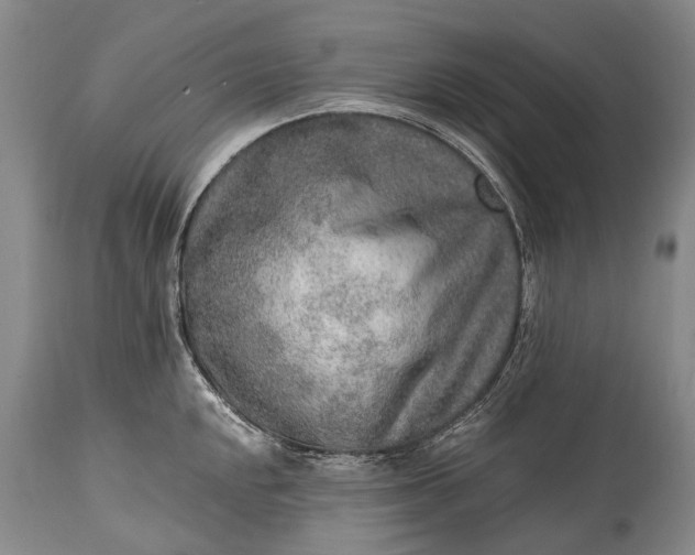 X0000115021048200911091438