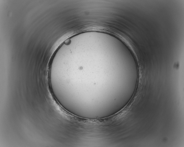 X0000115021050200911091438