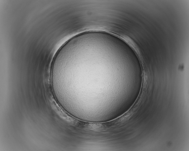 X0000115021052200911091438