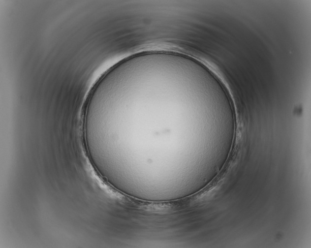 X0000115021053200911091438