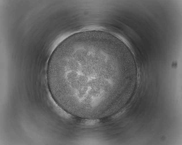 X0000115021055200911091438