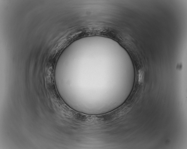 X0000115021059200911091438