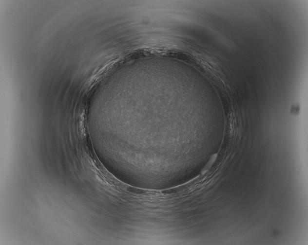 X0000115021060200911091438