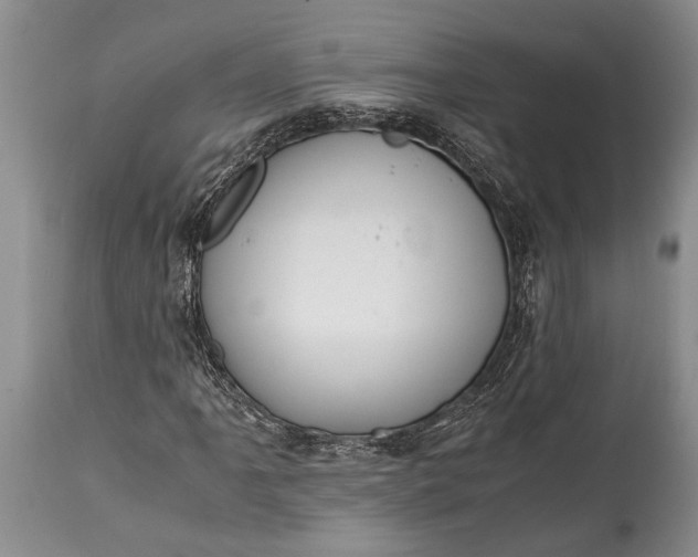 X0000115021061200911091438