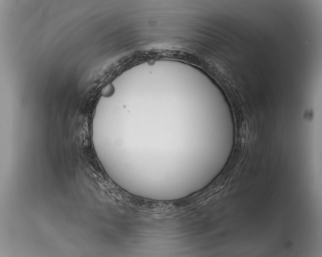 X0000115021062200911091438