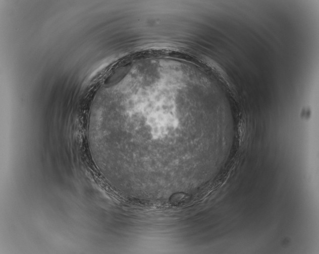 X0000115021064200911091438
