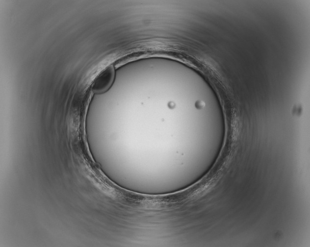 X0000115021065200911091438