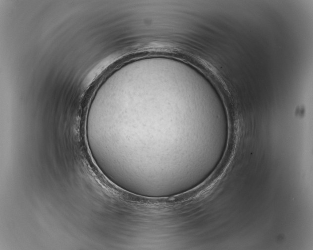 X0000115021066200911091438