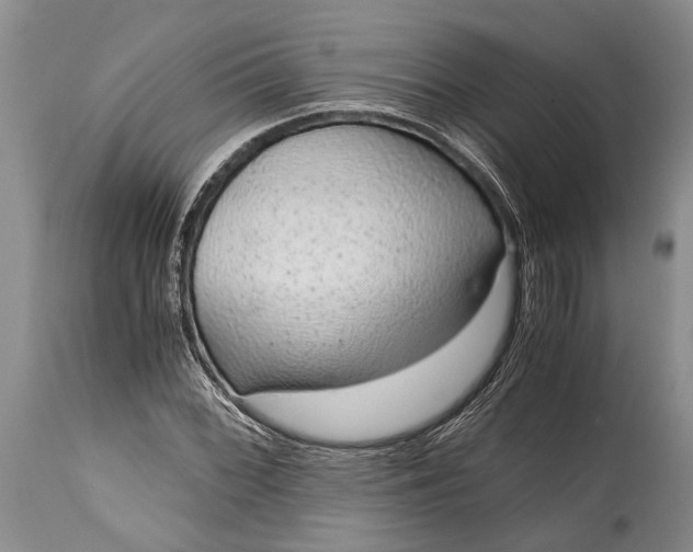 X0000115021068200911091438