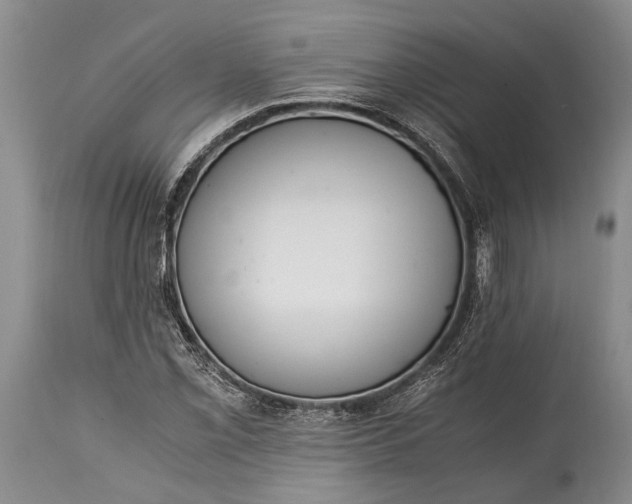 X0000115021069200911091438