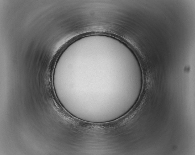 X0000115021070200911091438
