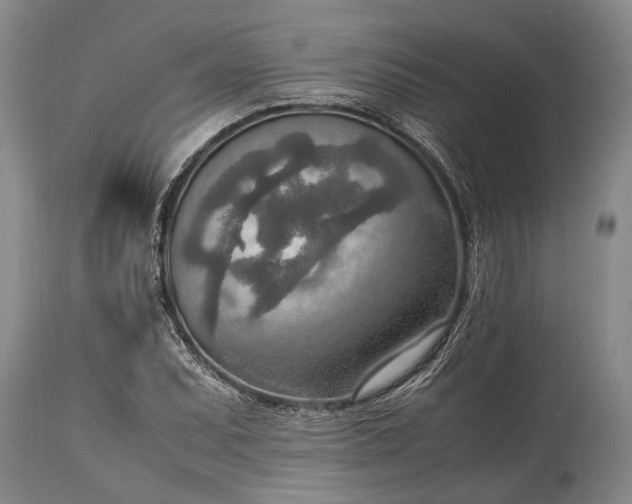 X0000115021071200911091438