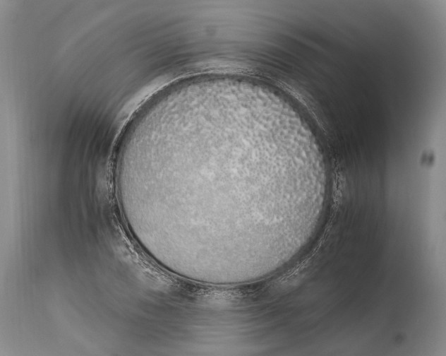 X0000115021074200911091437