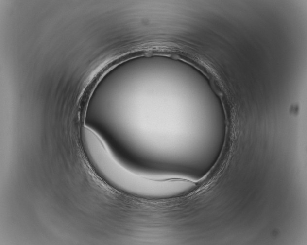 X0000115021075200911091437