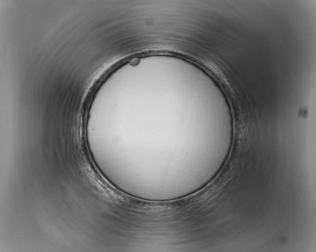 X0000115021076200911091437