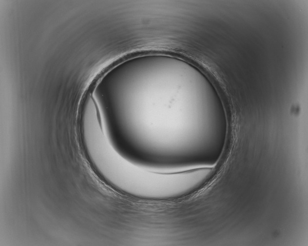 X0000115021077200911091437