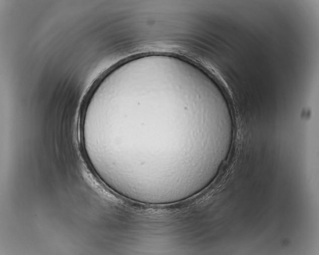 X0000115021080200911091437