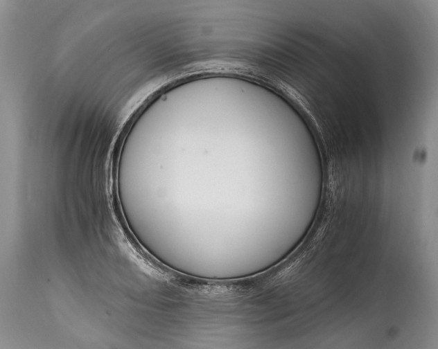X0000115021082200911091437