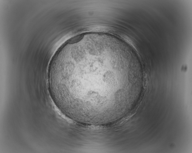 X0000115021087200911091437