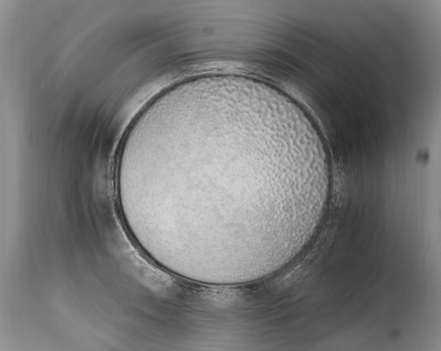 X0000115021090200911091437