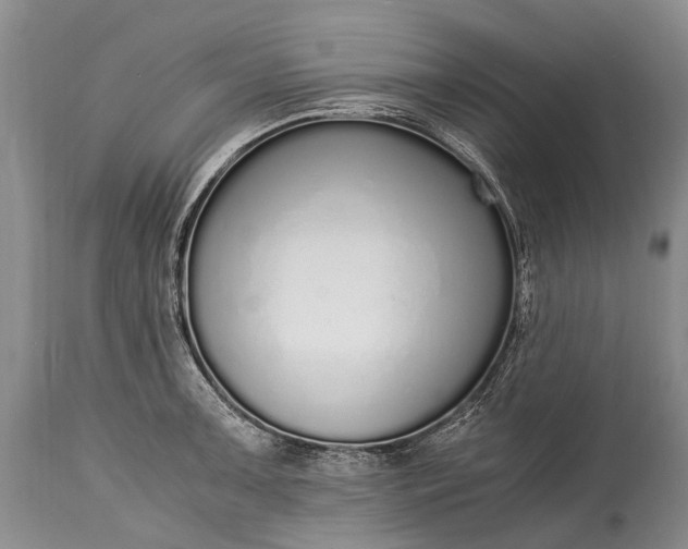 X0000115021091200911091437