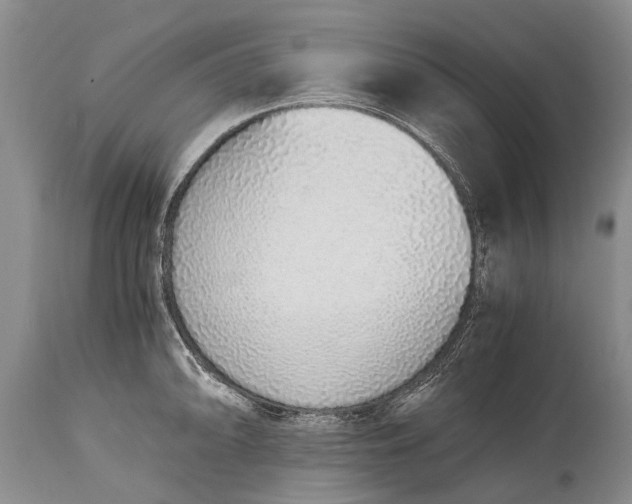 X0000115021094200911091437