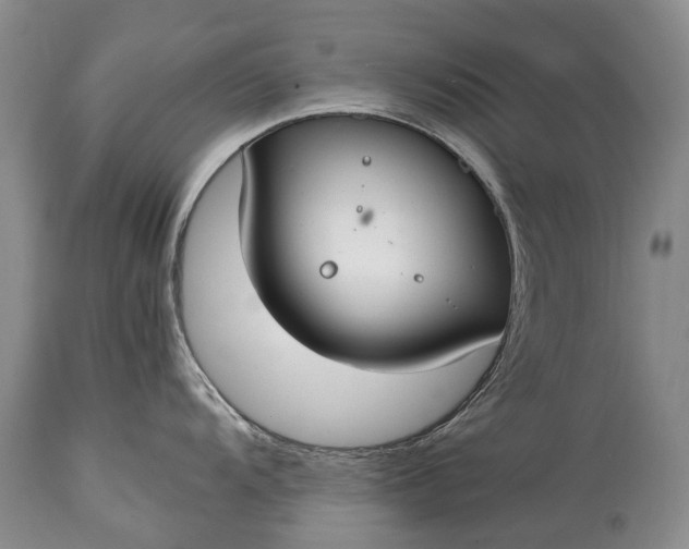 X0000115021104200911091437