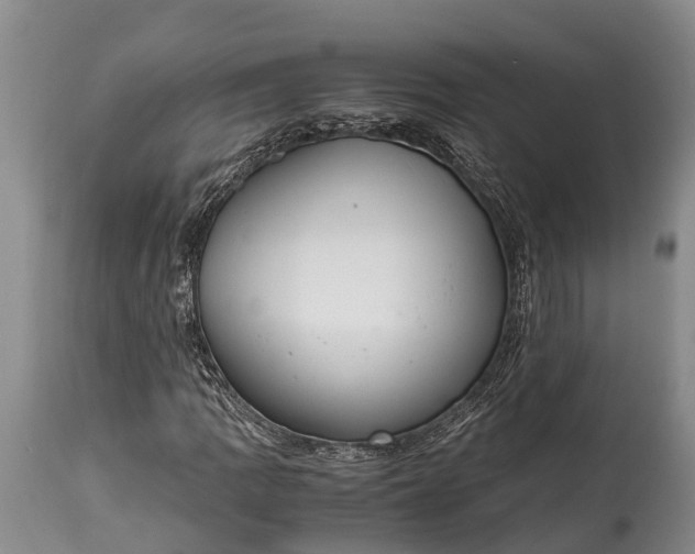 X0000115021109200911091436
