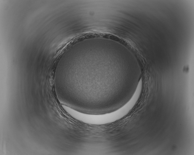X0000115021110200911091436