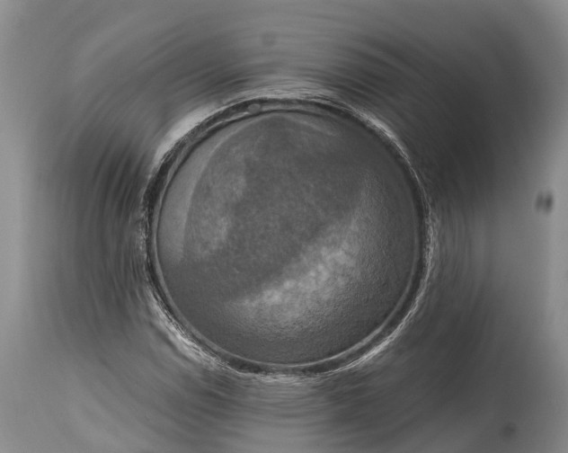 X0000115021114200911091436