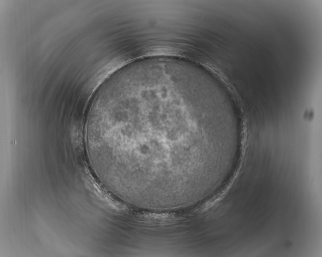 X0000115021121200911091436