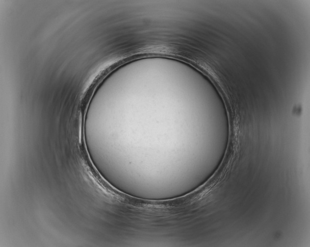 X0000115021123200911091436