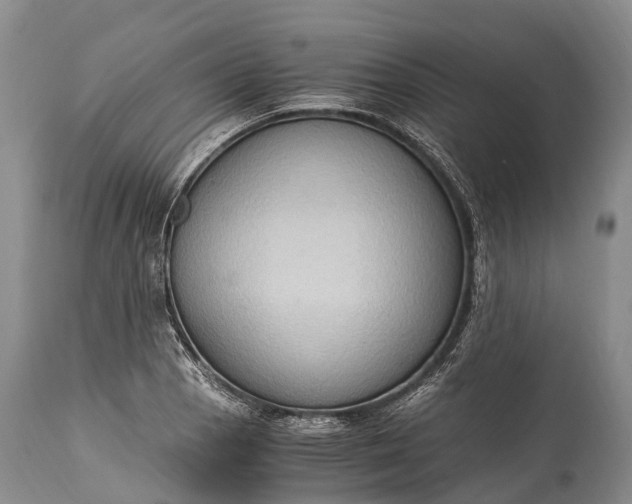 X0000115021129200911091437