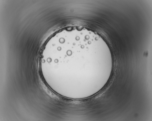 X0000115021130200911091437