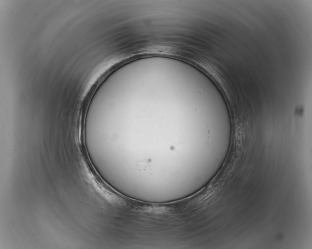 X0000115021131200911091437