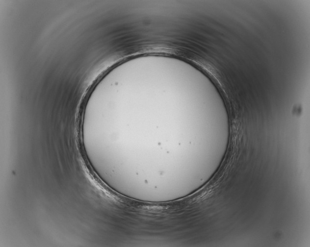 X0000115021135200911091437