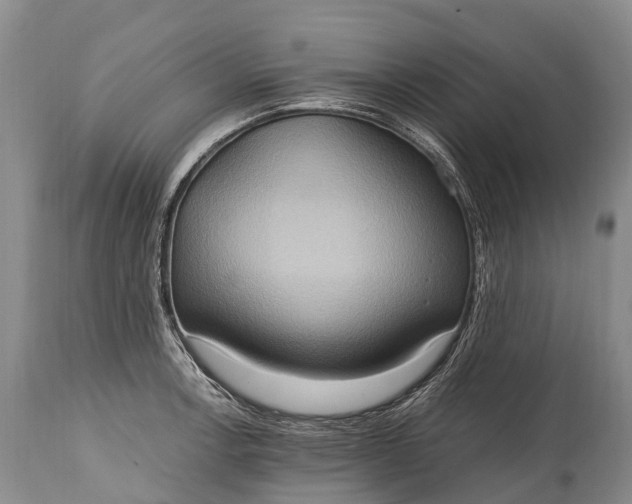 X0000115021138200911091437